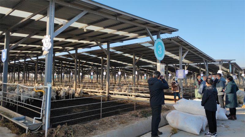 内蒙古学员参观学习雨轩公司养殖生产基地、九多肉多酱卤文化园